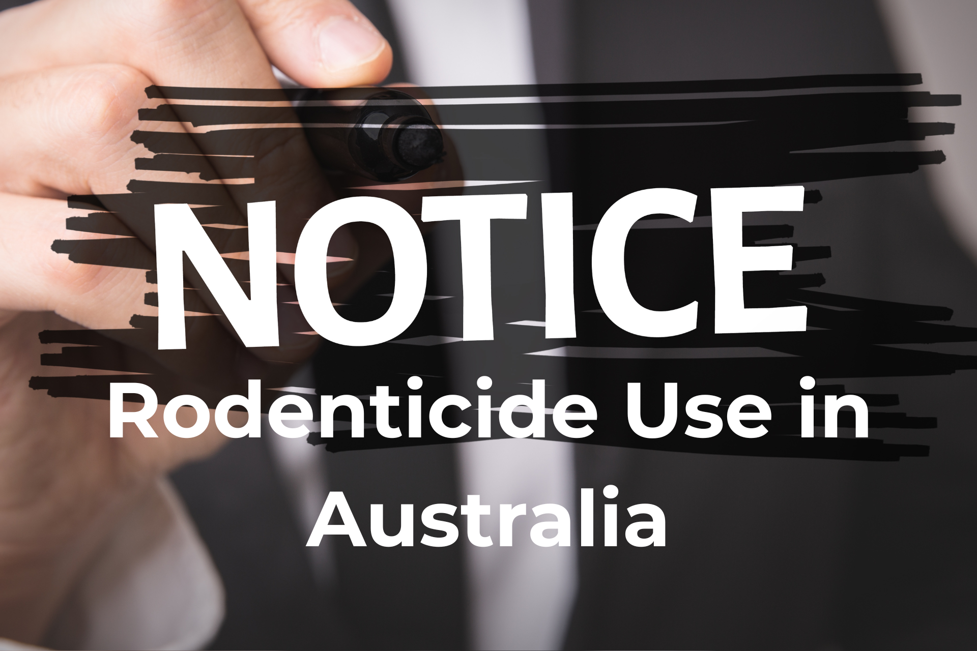 Important Changes to Rodenticide Use in Australia from March 2026