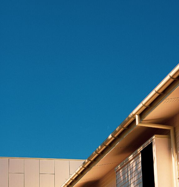 Gutter Cleaning