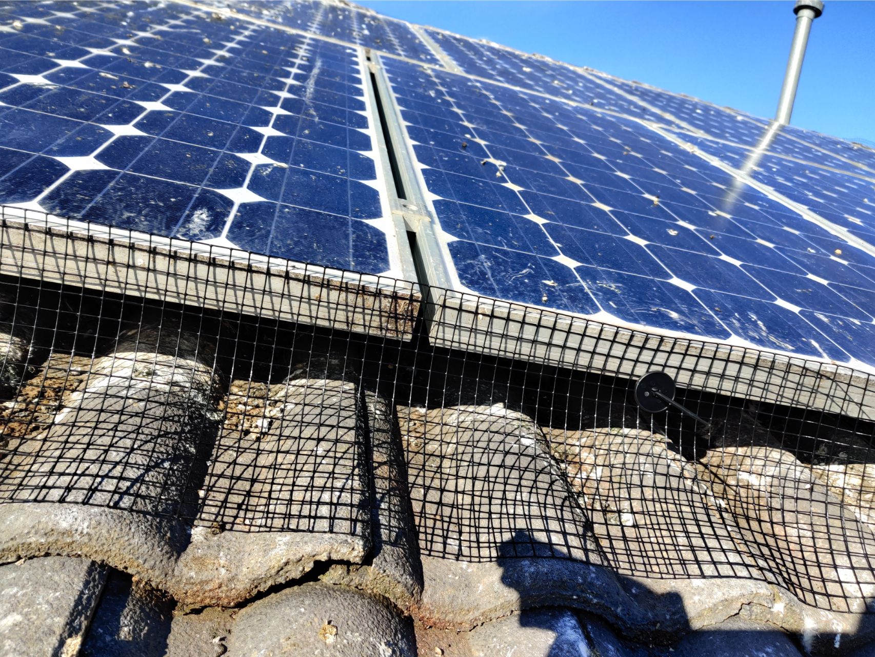 Solar Panel Bird Proofing